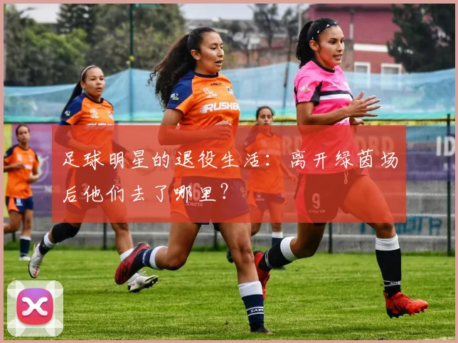 足球明星的退役生活:离开绿茵场后他们去了哪里?