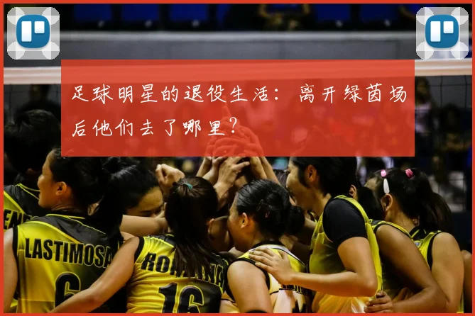 足球明星的退役生活：离开绿茵场后他们去了哪里？